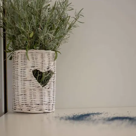 Villa In Croatia With Sea Views Dramalj