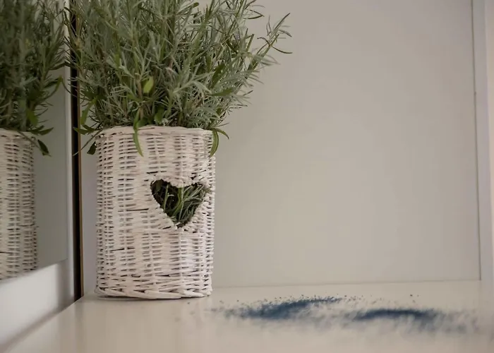 Villa In Croatia With Sea Views Dramalj